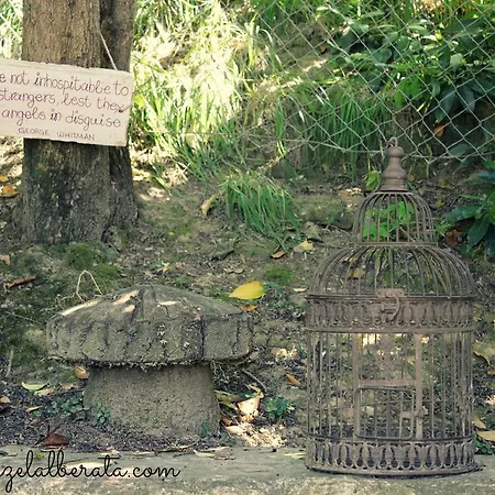 Gospodarstwo wiejskie Residenze L'alberata