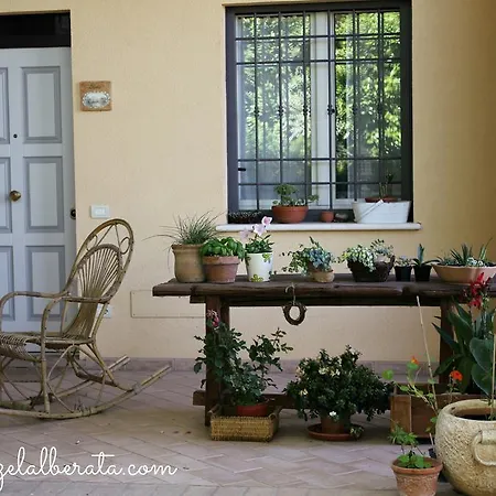 Landhuis Residenze L'alberata Collazzone