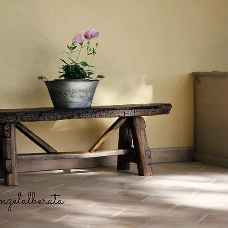 Landhuis Residenze L'alberata *